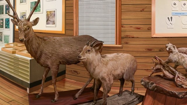Forest Science Museum Management Office